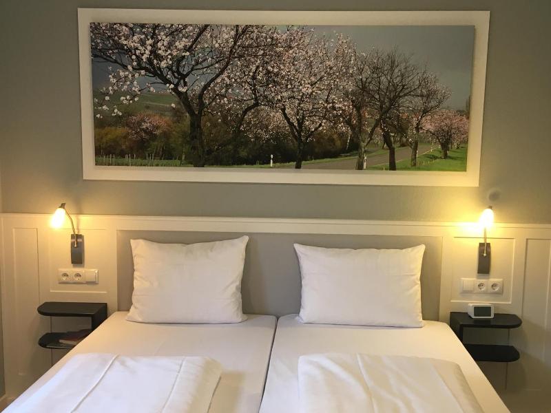 Jugendstilhotel Trifels image