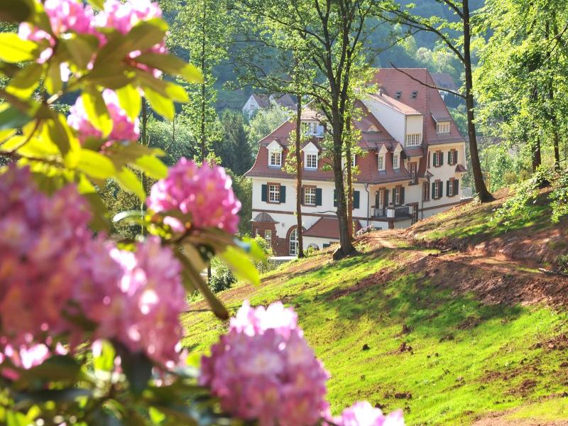 Jugendstilhotel Trifels image
