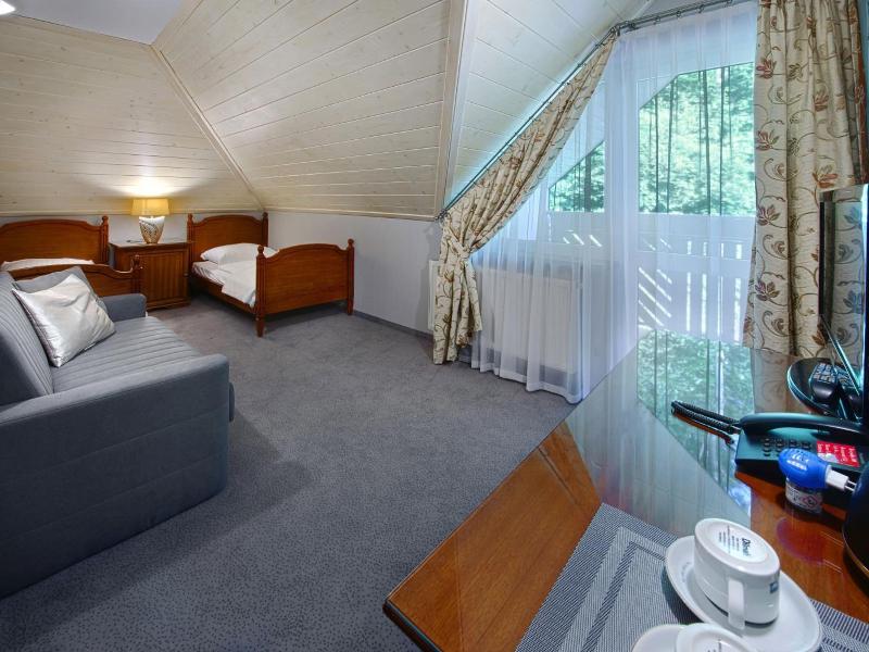 Hotel Zalesie image