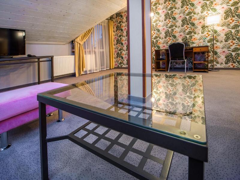 Hotel Zalesie image