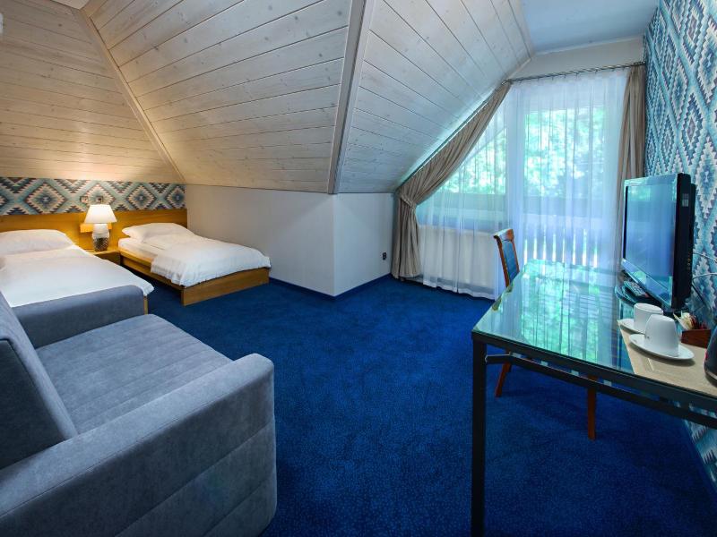Hotel Zalesie image