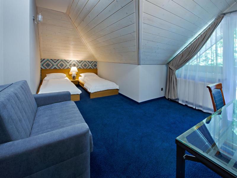 Hotel Zalesie image
