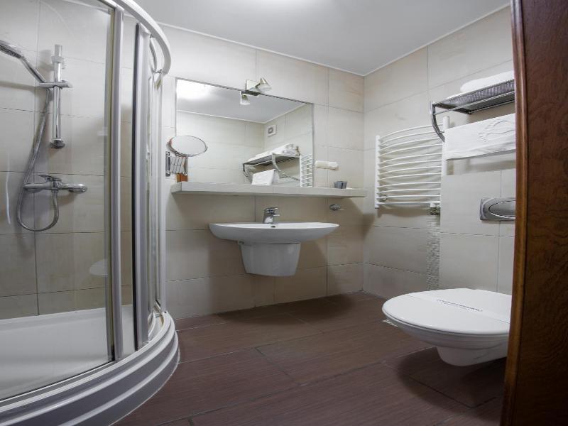 Hotel Zalesie image