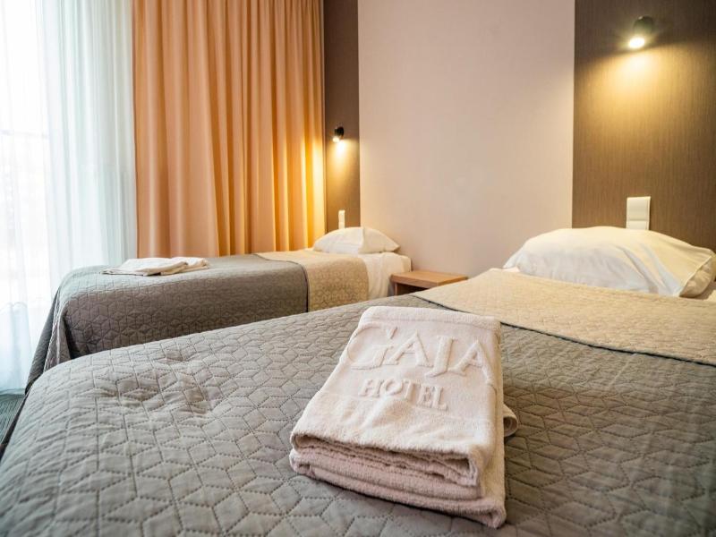 Hotel Gaja image