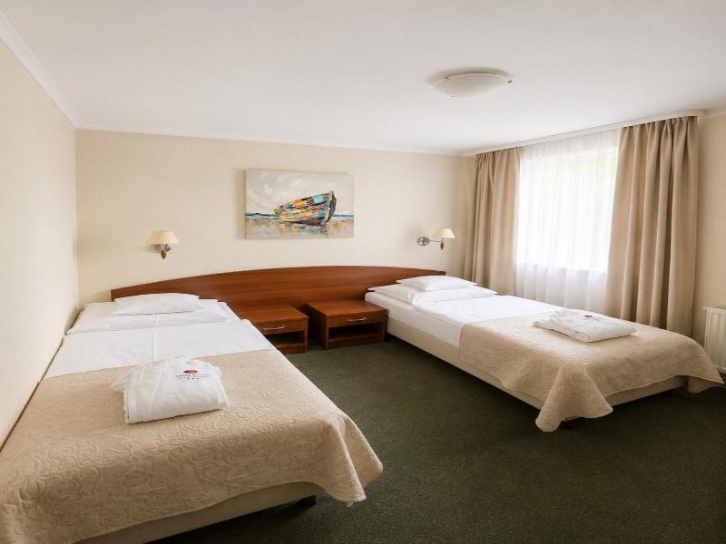 Arena Hotel Spa Wellness image