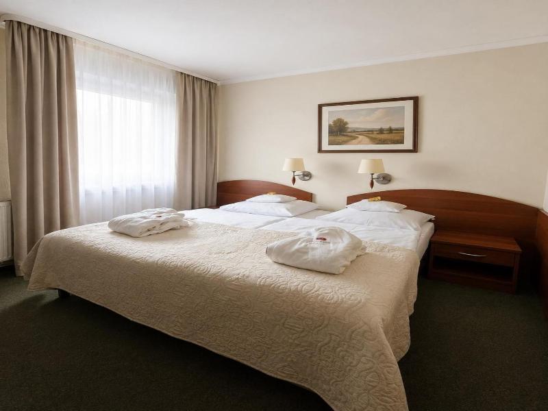 Arena Hotel Spa Wellness image