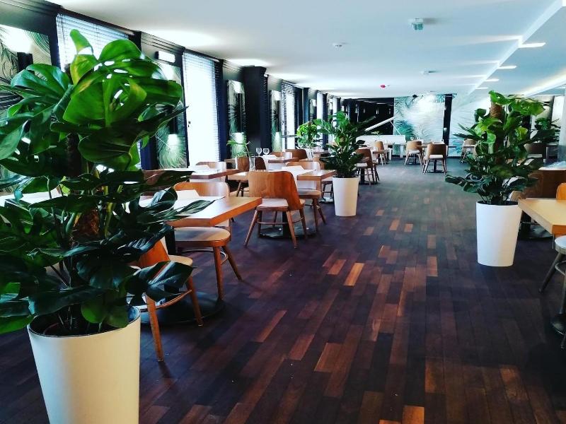 Arena Hotel Spa Wellness image