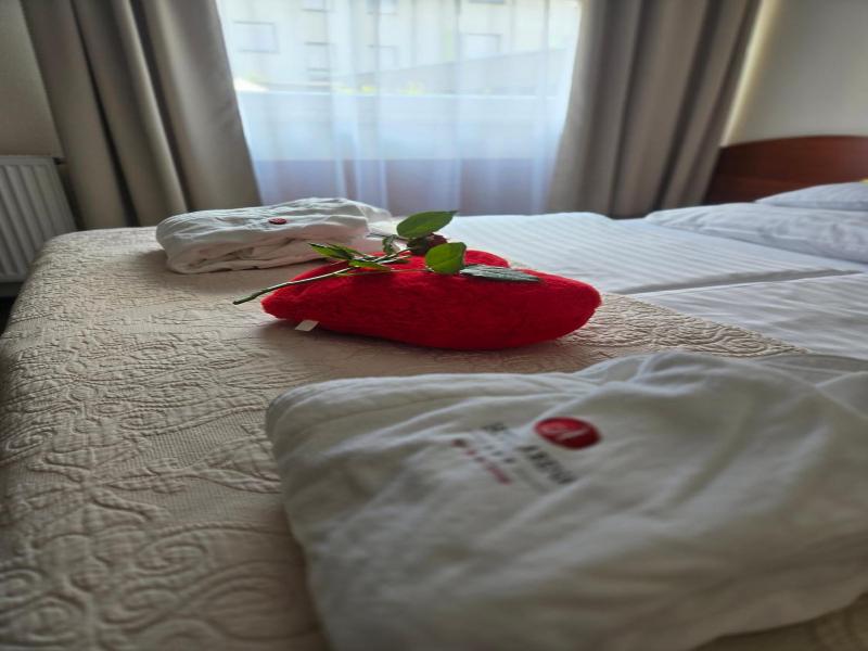 Arena Hotel Spa Wellness image