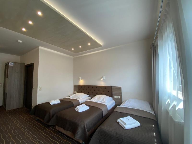 Hotel Wena image