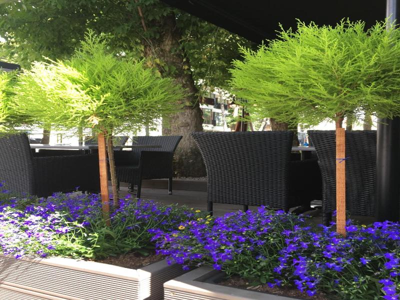 Muza Hotel image