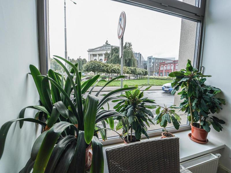 Kampus Palace image