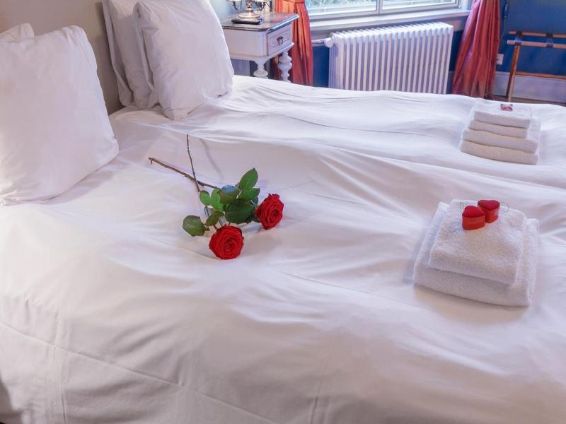 Logement Aan De Vecht image