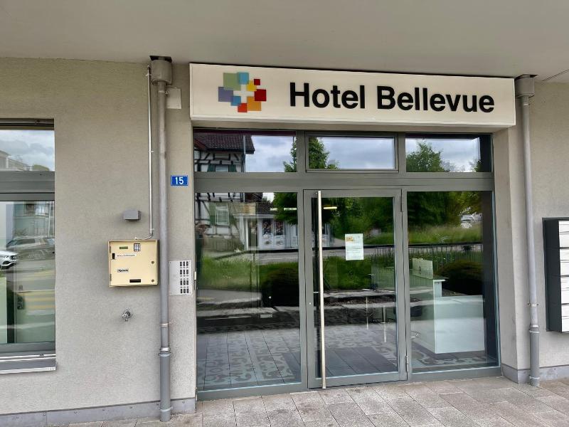 Hotel Swiss Bellevue image