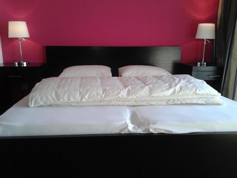 Hotel Swiss Bellevue image