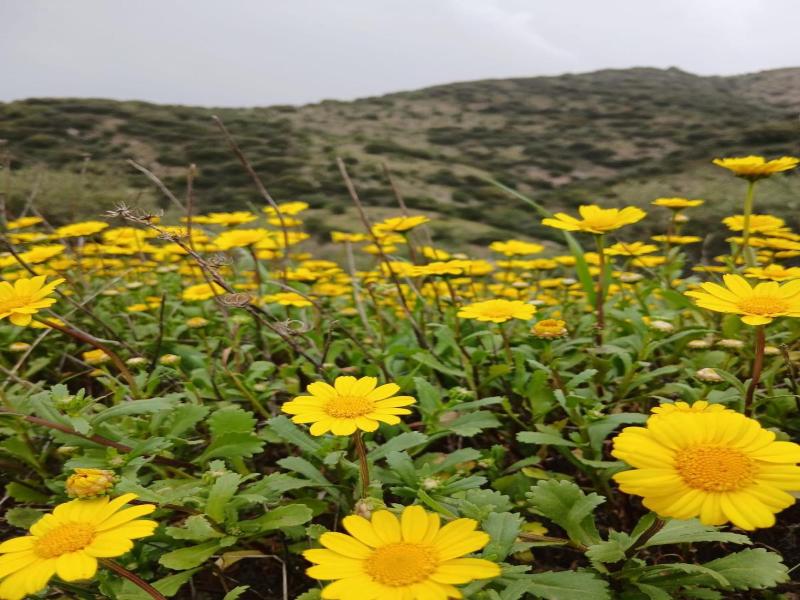 Hotel Rural Inz Almaraz image