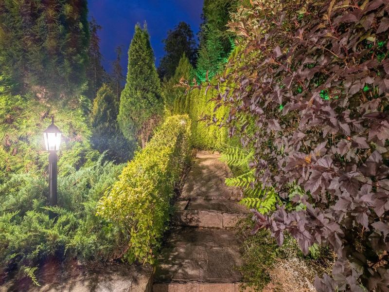 Park Hotel Asenevtsi image