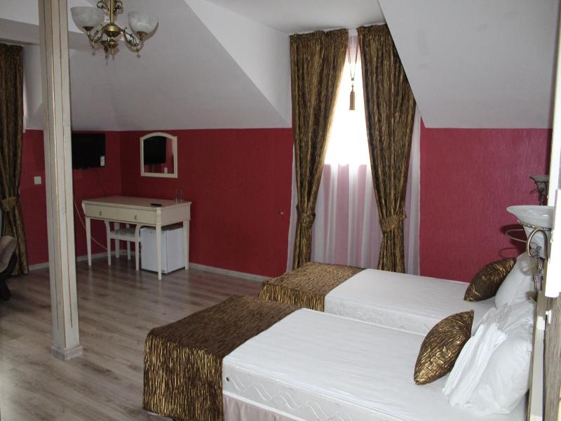 Villa Paris image