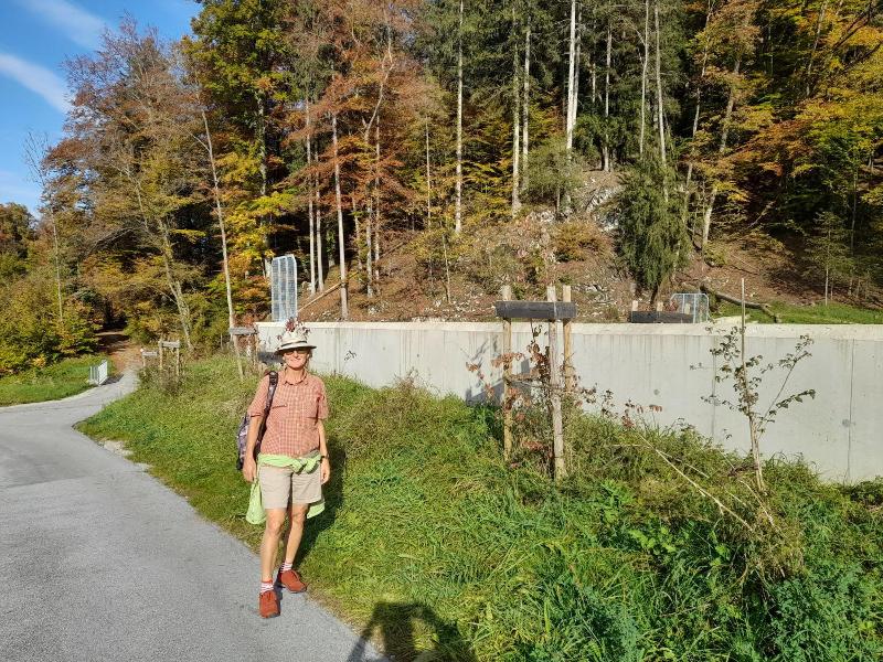 Gasthof Zum Postwirt image