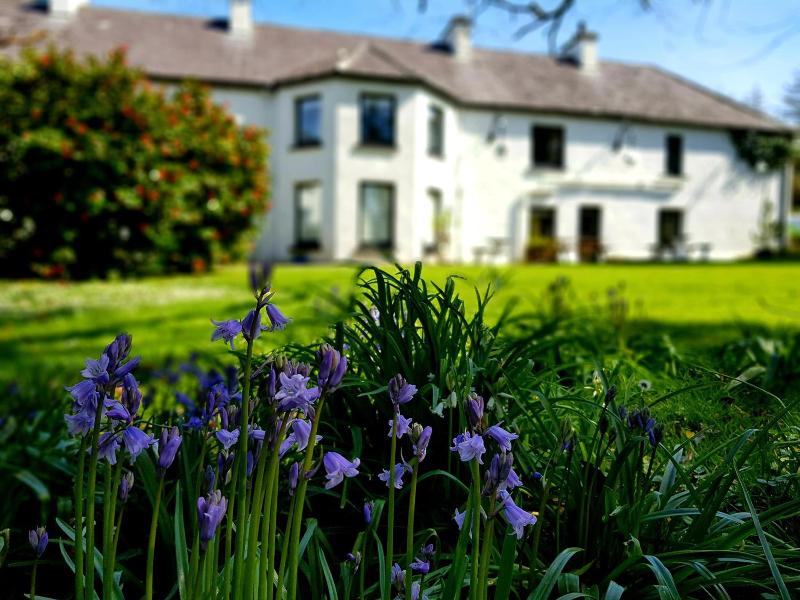 The Glenbeigh Hotel image