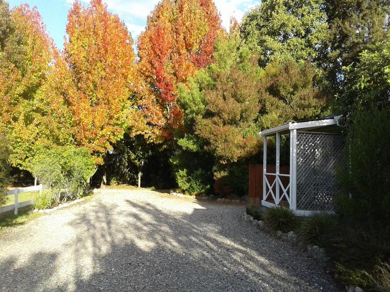 Abel Tasman Haven image