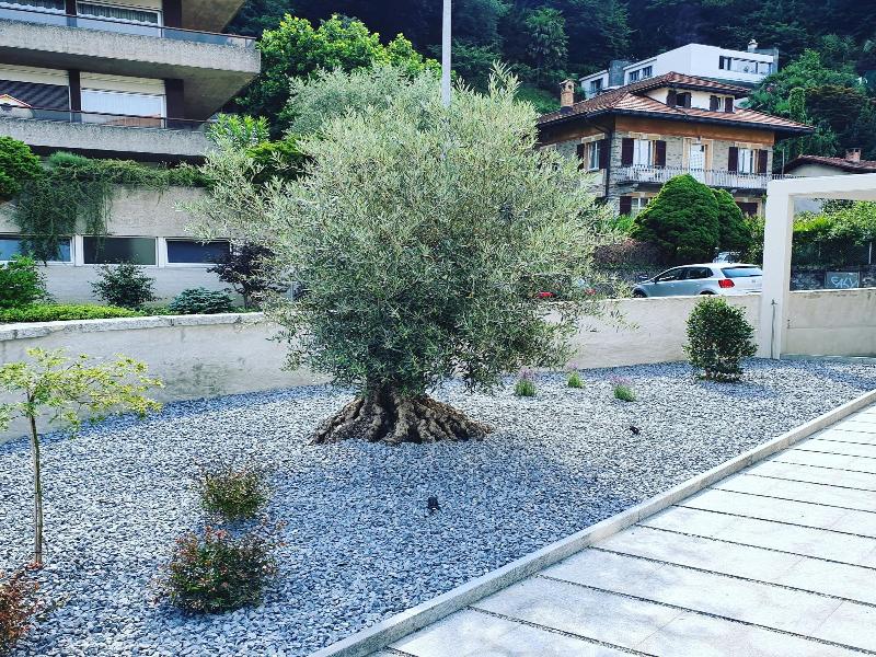 Locanda Marco image