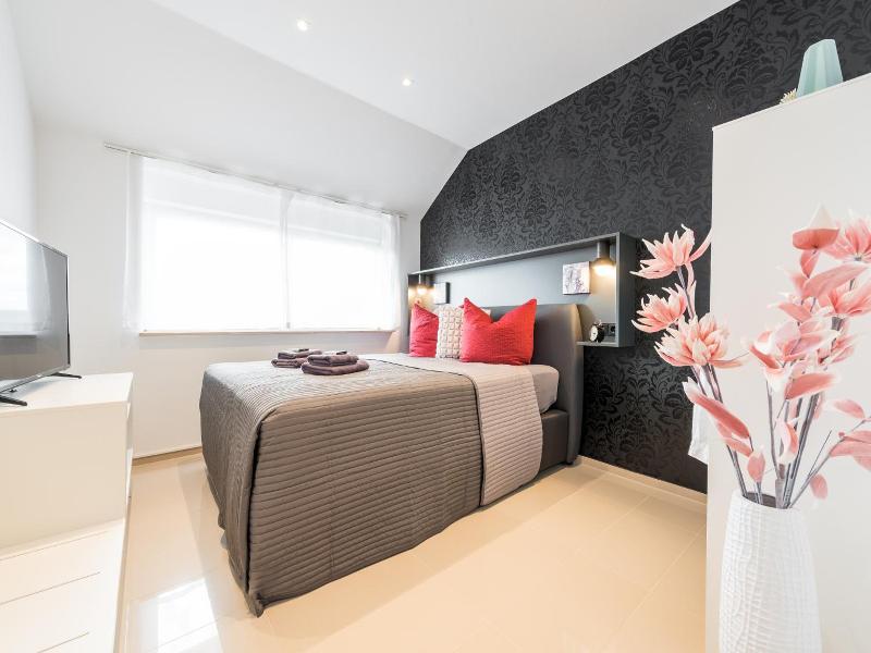 Friedrich Boutique Apartments image