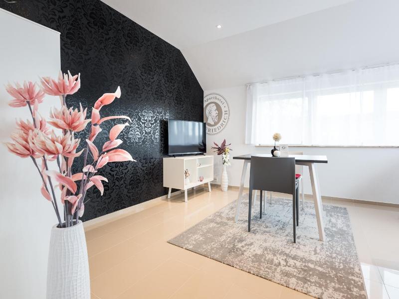 Friedrich Boutique Apartments image