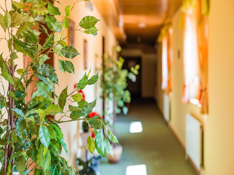 Hotel Garni Steinfeld image