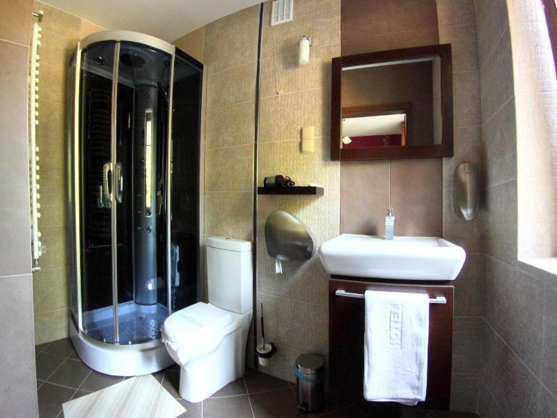 Hotel Mieszko image