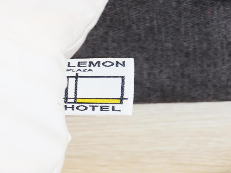 Lemon Plaza Hotel image