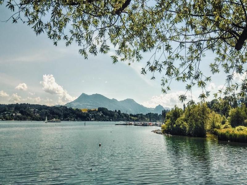 Backpackers Luzern image