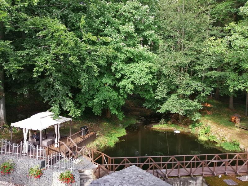 Parkhotel Forest image