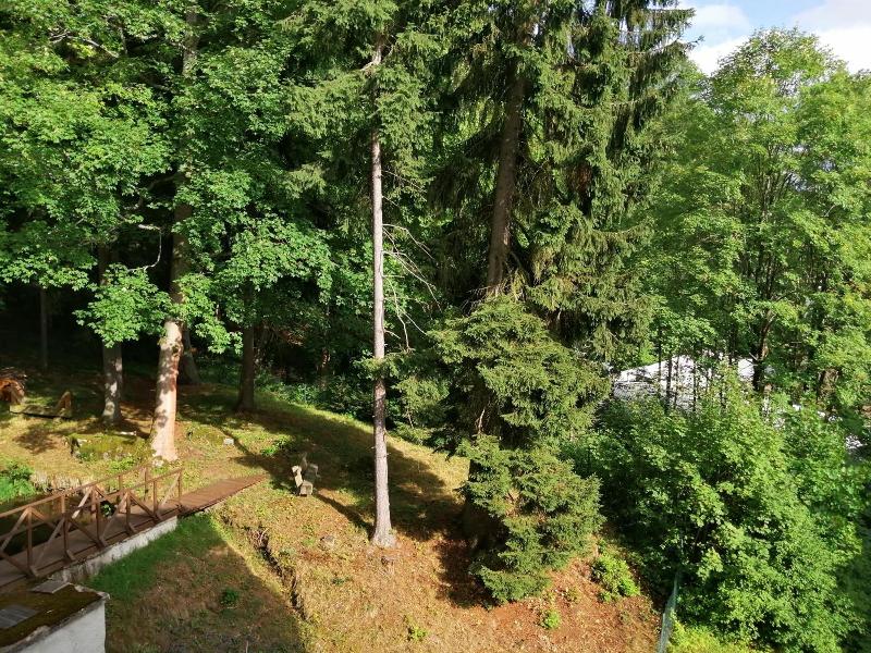 Parkhotel Forest image