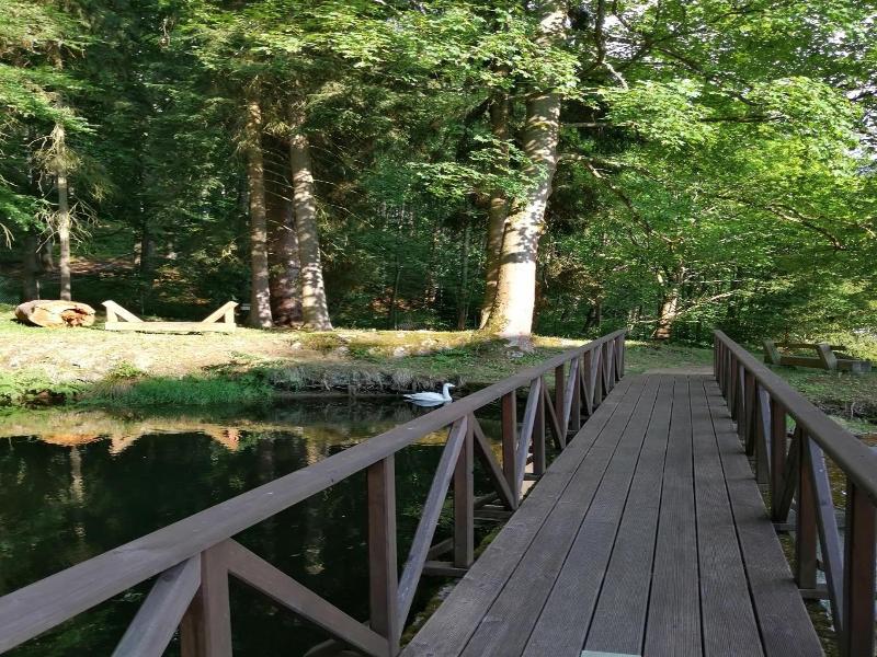 Parkhotel Forest image