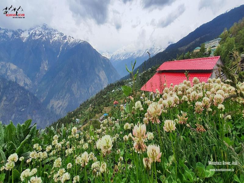 Mountain Rover Auli
