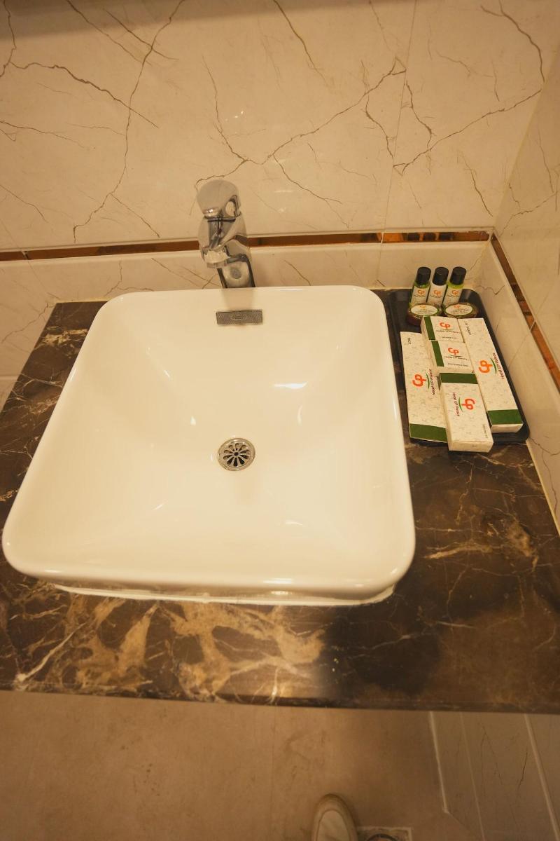 Hotel Cp Palace image