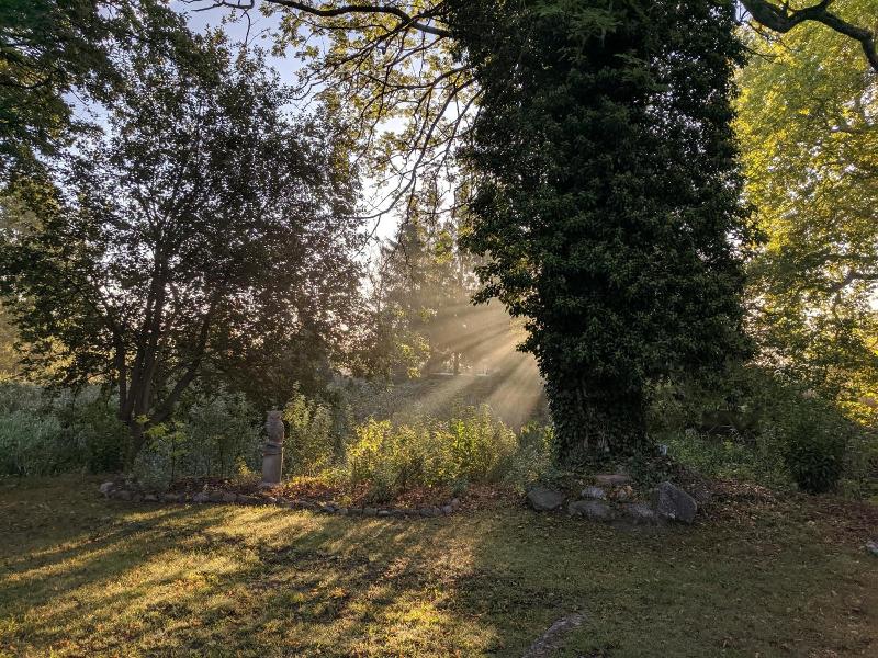 Schlossgut Gorow image