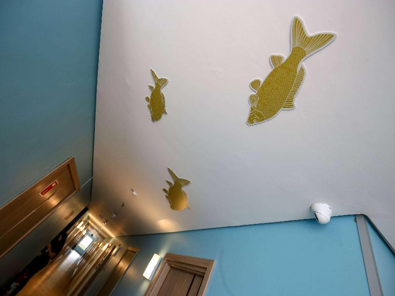 Delphin Surf Hotel image