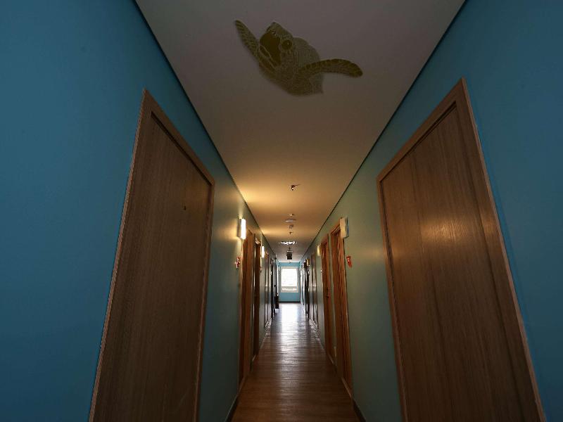 Delphin Surf Hotel image