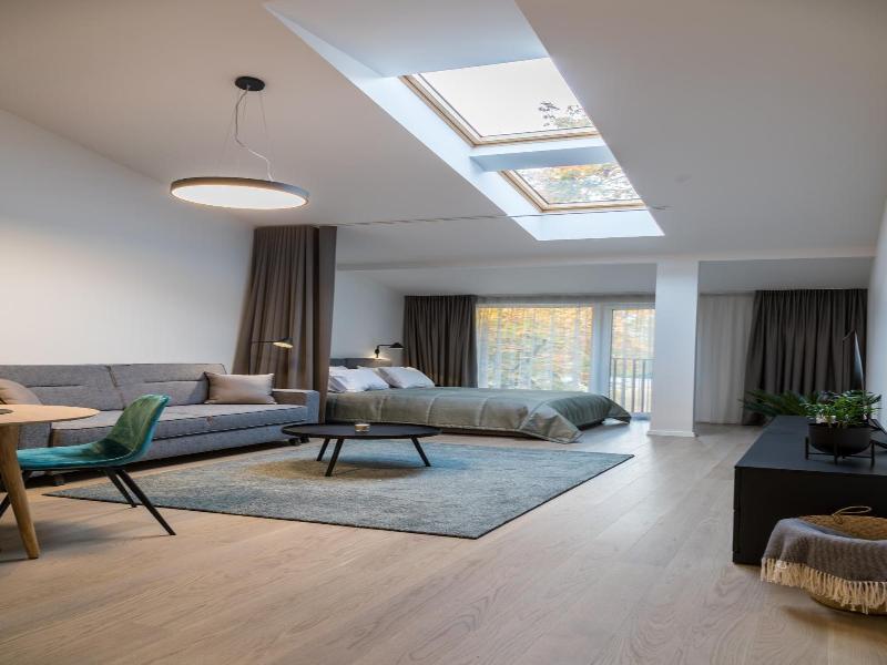 Apartment Hotel Laisve image