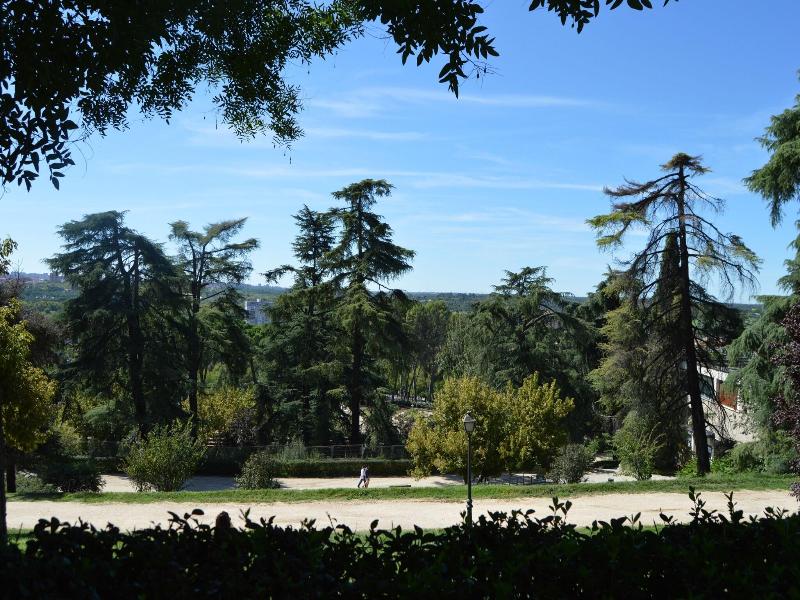 Debod Hostel image