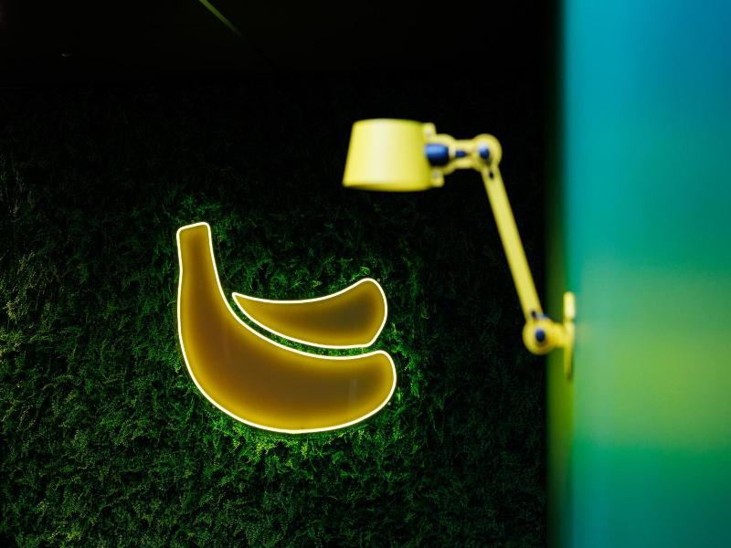 Little Monkey Hostel image