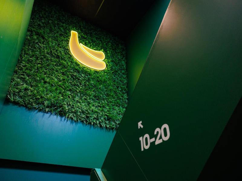 Little Monkey Hostel image