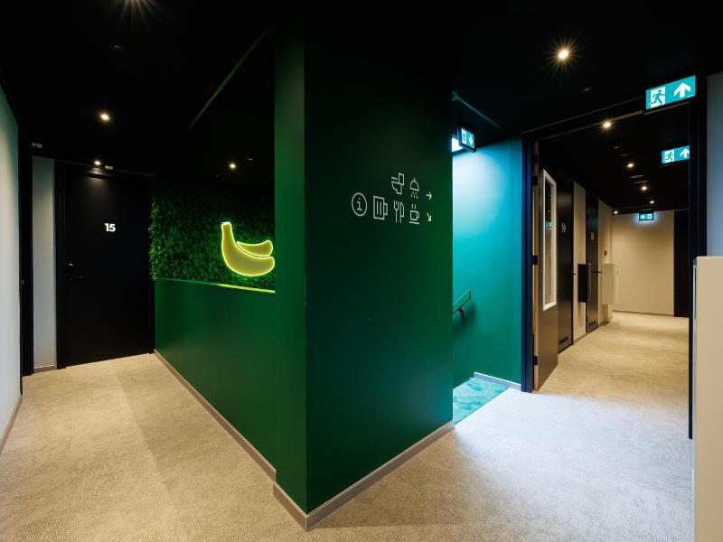 Little Monkey Hostel image