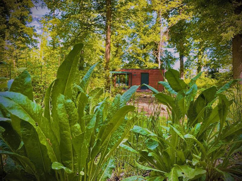 Les Lodges De Vaugrigneuse image