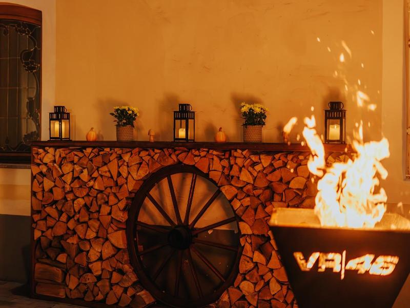 Hotel Leo image