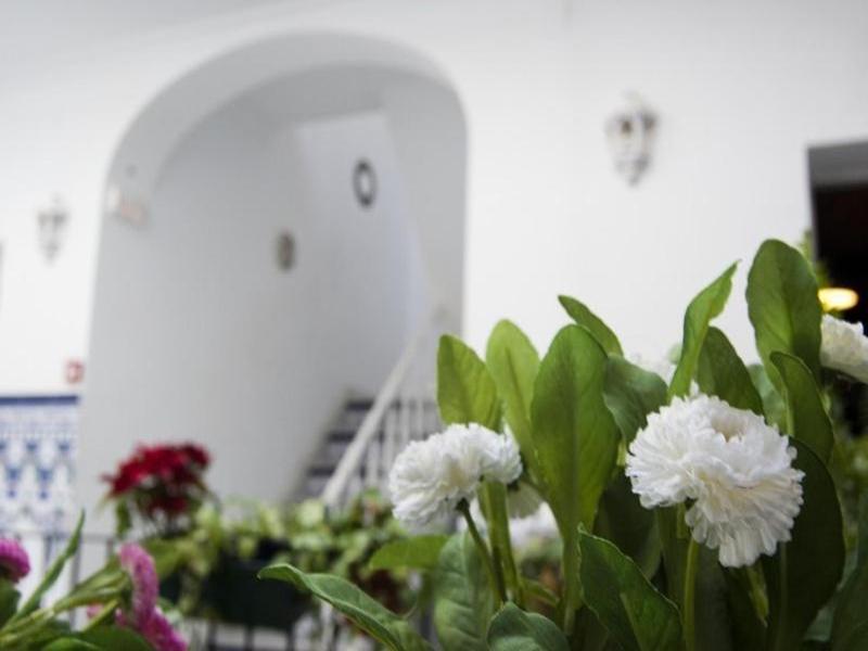Hostel Triana Backpackers image