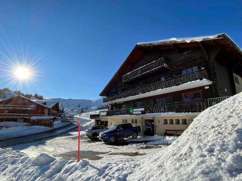 Freeride Hostel Bar image