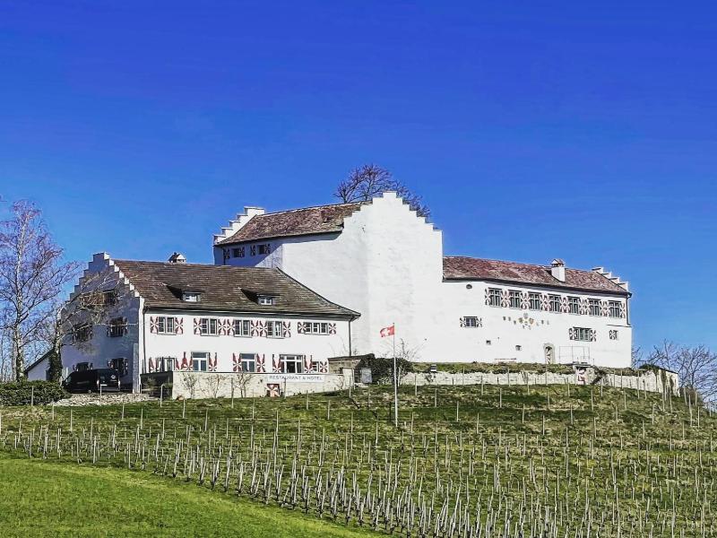 Hotel Restaurant Schloss Schwandegg image