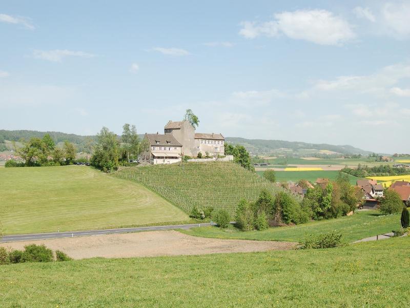 Hotel Restaurant Schloss Schwandegg image